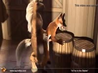 Furry zoophilia horse banging a fox from behind
